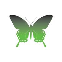 a green butterfly on a white background vector