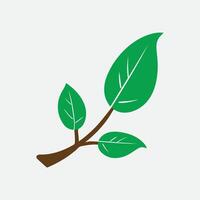 a green leaf icon on a white background vector