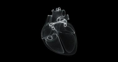 Hologram representation screen 3d of heart beating in the human body - loop video