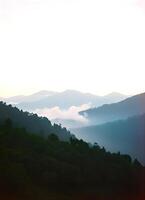 A view of the mountains and trees with fog in the background photo