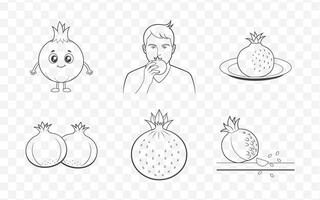 Pomegranate Illustration Collection in Minimalist Line Art Style vector