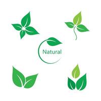 Set icon Green leaf logo template element symbol vector