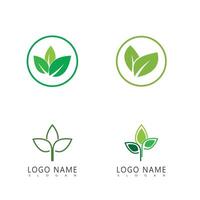 Set Green leaf logo template element symbol vector