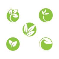 Set stylized Green leaf logo template element symbol design vector