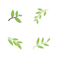 Set Green leaf logos template element vector