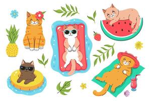 Set of cute summer cats isolate on white background. graphics. vector