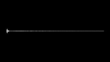 Digital Audio Spectrum Sound Wave Equalizer Effect Animation video
