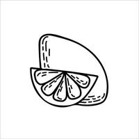 Cute hand drawn set with slices lemon with leaves and seeds for menu or recipe. Doodle illustration. Fresh and tasty. vector