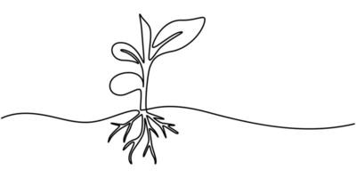 Continuous One Line Drawing Of A Plant On A Transparent background vector