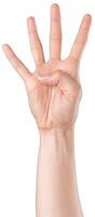 Hand showing four fingers in a gesture, symbolizing number four during a bright and clear day photo