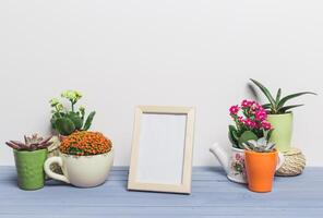Beautiful arrangement of potted plants and a blank frame on a wooden table for home decor photo