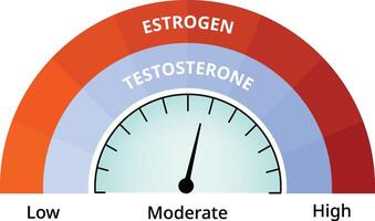 Estrogen Testosterone Meter Science Design Illustration Diagram vector