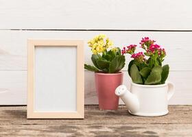Decorative arrangement featuring potted flowers and a blank frame on a rustic wooden surface photo