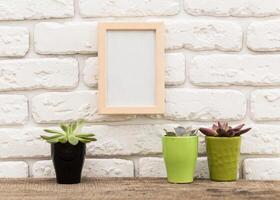 Succulent plants displayed in colorful pots against a white brick wall with an empty frame in a cozy interior setting photo