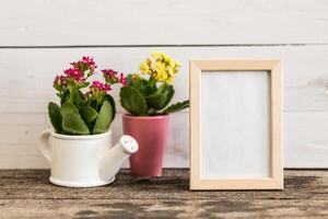Decorative plants in pots alongside a blank photo frame on rustic wooden table