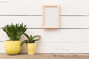Decorative indoor plants in yellow pots beside an empty picture frame on a wooden table against a rustic white wall photo