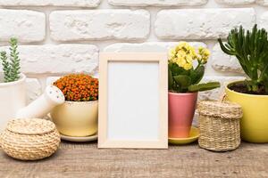 Decorative arrangement of potted plants and an empty frame on a wooden table indoors photo
