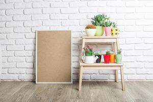 Bright and vibrant shelf with potted plants and empty frame in a modern indoor setting photo