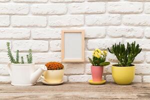 Decorative indoor plants arranged on a wooden table by a white brick wall with empty frame and watering can photo