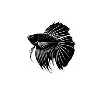 Print Graceful Betta Fish Elegant Fins and Flowing Beauty vector