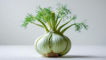 Fresh green fennel bulb with fronds displayed on a neutral background in a kitchen setting photo