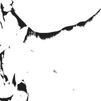 Classic monochrome grunge texture with deep contrast vector