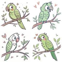 Cute bird parrot cartoon characters vector
