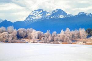 A snowy field with trees and mountains in the background photo