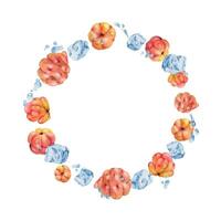 Cloudberry raspberry flying in water waves splashes drops, hand drawn in watercolor, ripe red forest berry, ice cubes. Wreath circle frame illustration. Restaurant cafe menu, farmers market, juice bar vector
