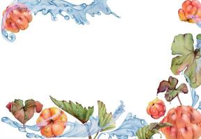 Cloudberry raspberry flying in wave water splashes with drops, hand drawn in watercolor, ripe red forest berry and leaves. Border frame illustration for restaurant, cafe menu, wedding, farmers market vector