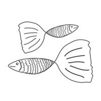 Black-and-white outline drawing of two fish with large fins and scales, ideal for a fun and creative coloring activity. vector