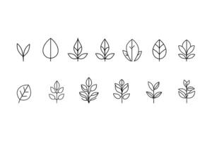 Leaf Icon Set - Trendy Line Style Pictograms for Mobile and Web Design vector