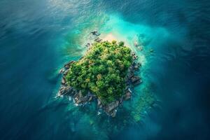 A small island with a forest on it is surrounded by water photo