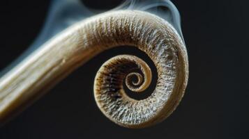 A spiral shaped stick with smoke coming out of it photo