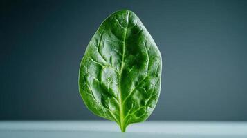 A single green leaf on a table photo