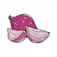 Red Onion herbs and spices Illustration with isolated white background vector