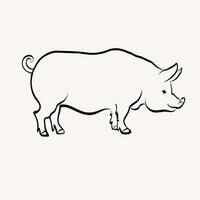 Pig drawing of domestic animal in sketch style on isolated background. Hand drawn piglet in line art style for sign, logo, menu, card, print, paper. Illustration with Boar. Animals and food vector
