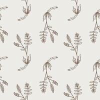 Seamless pattern of Licorice herbaceous plant and dry roots. Hand drawn repeating background with botanical of medical aromatic sticks and a flowers branch Glycyrrhiza echinata. Design rapport vector