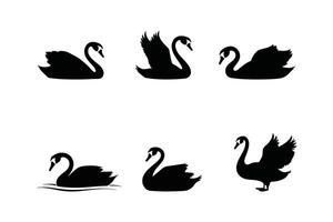 Swan Silhouette Set Art in Various Poses on White Background vector