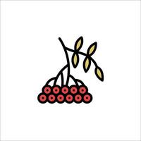 A rowan tree with berries on it vector