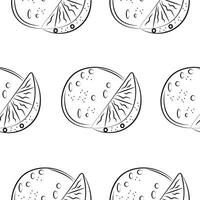 seamless pattern with fruits namely oranges drawn in line art style on white background, for packaging or textile vector