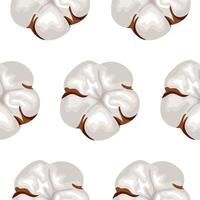 seamless pattern with open cotton flower buds on white background, for wrapping or textile vector