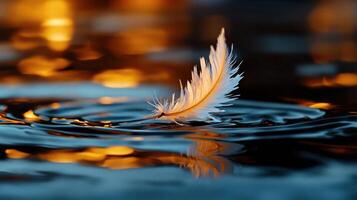 A feather floating in water with a reflection photo