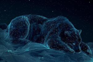 A bear sleeping on the ground with a starry background photo