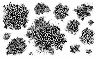 Set of Abstract Black Dot Clusters on White Background for Designers vector