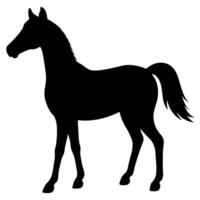 Elegant Arabian horse silhouette icon for creative and artistic design projects vector