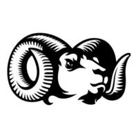 A ram head with large horns on a white background vector