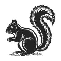 A stylized, black silhouette of a squirrel set against a plain light gray background. vector