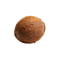 A Single Brown Coconut Isolated on White Background Showing Its Fibrous Husk and Natural Texture png