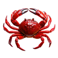 A Vivid Red Crab Close Up View Showing Amazing Detail of its Shell and Claws png